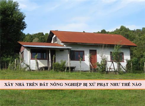 Xây nhà trên đất nông nghiệp tại Vĩnh Phúc sẽ bị xử phạt như thế nào?